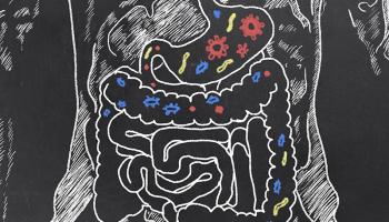 Gut Microbiome Illustration