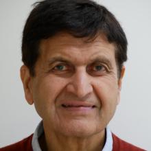 Krishan Kumar, University Professor