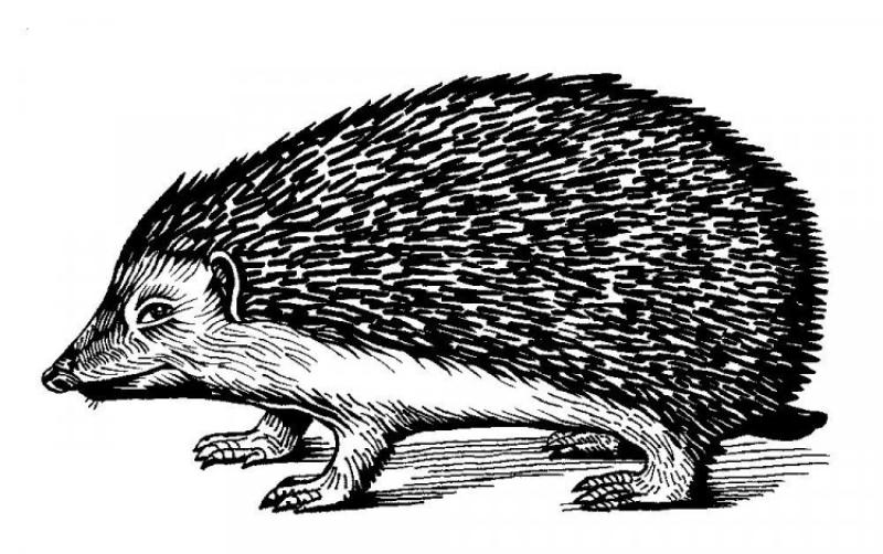 The Hedgehog Review's Logo