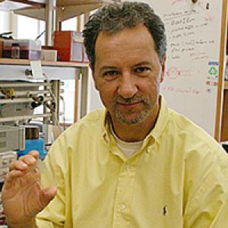 James Landers, Professor of Chemistry