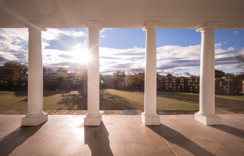 Lambeth Field