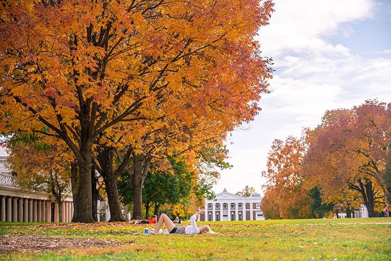 UVA Grounds during fall, students reading on the Lawn